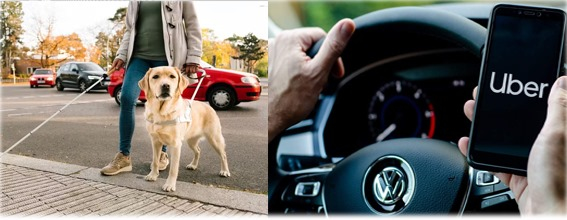 Uber libera função que avisa se passageiro tem cão-guia