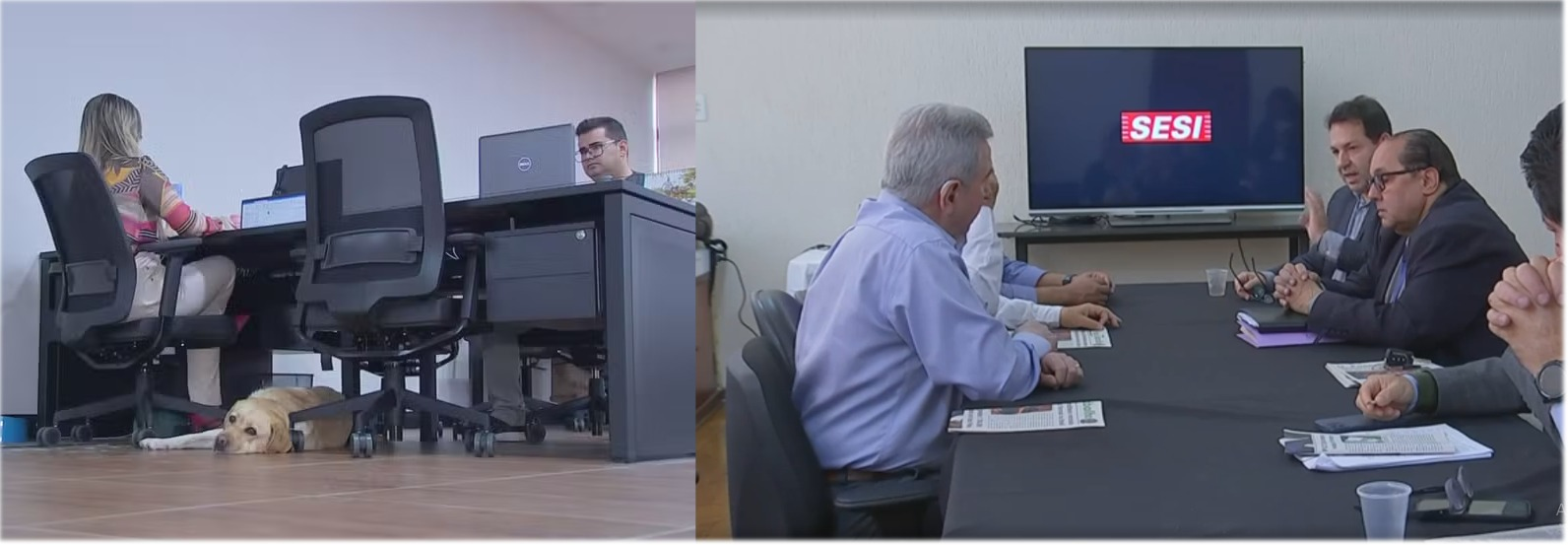 Região de Sorocaba oferece habilitação e treinamento para PcD e reabilitados