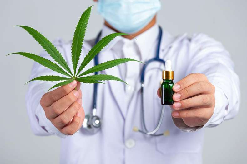 Cannabis Medicinal no tratamento da epilepsia infantil